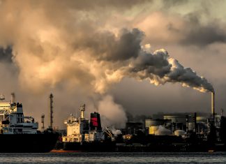 Mastering CSRD emissions reporting: Strategies for transparency and sustainability